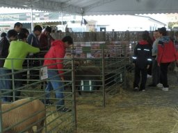 phoca_thumb_l_fotosnoviembre2012 2521
